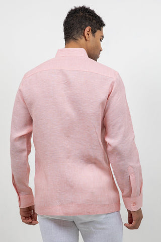 Apricot