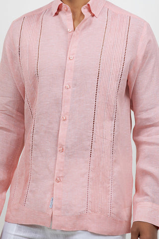 Apricot